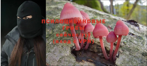 винт Баксан