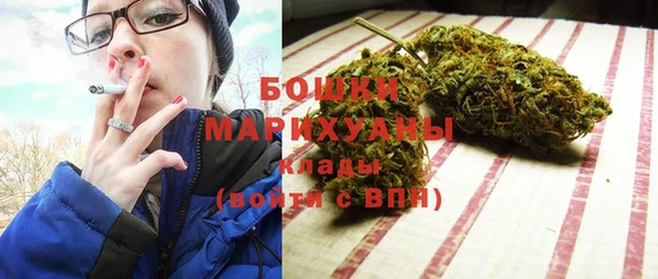PSILOCYBIN Балабаново