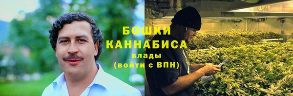 PSILOCYBIN Балабаново