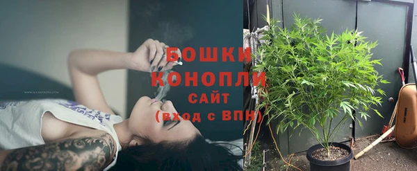 PSILOCYBIN Балабаново