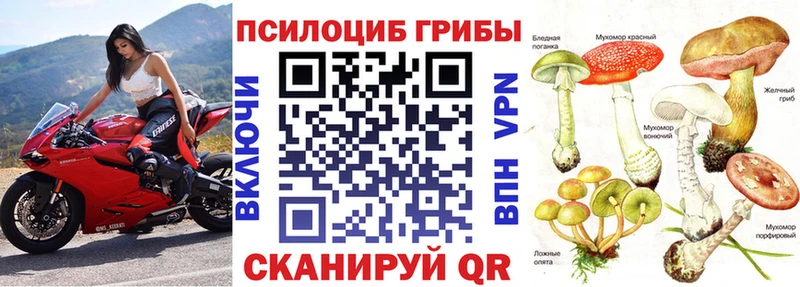 купить наркоту  Красный Холм  Псилоцибиновые грибы прущие грибы 